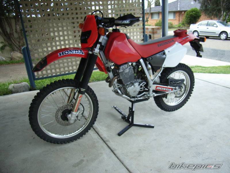 Photo 450492