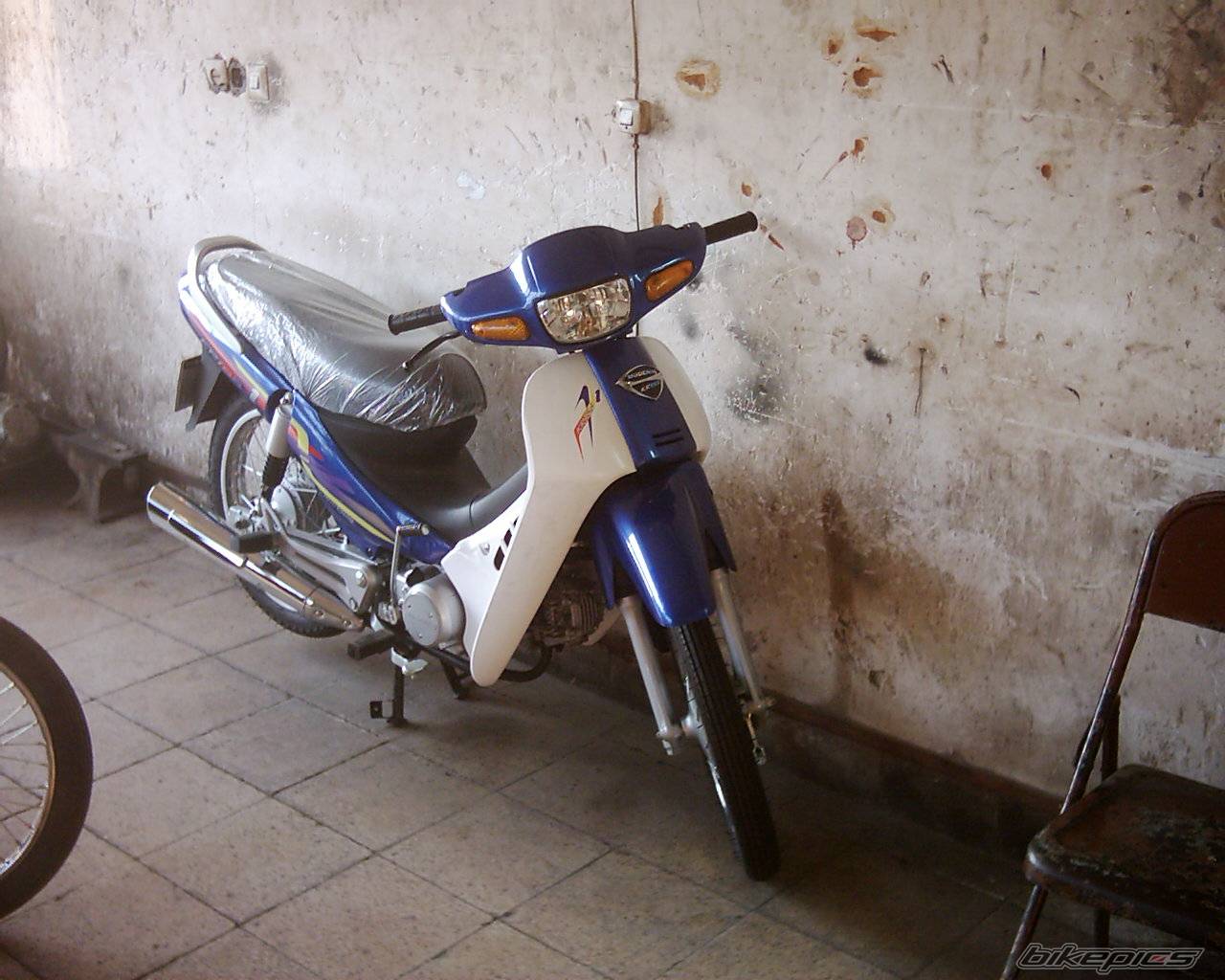 Photo 450496
