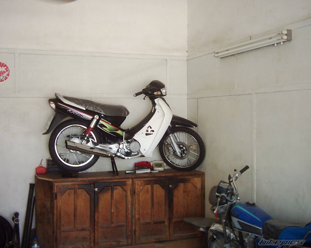 Photo 450497