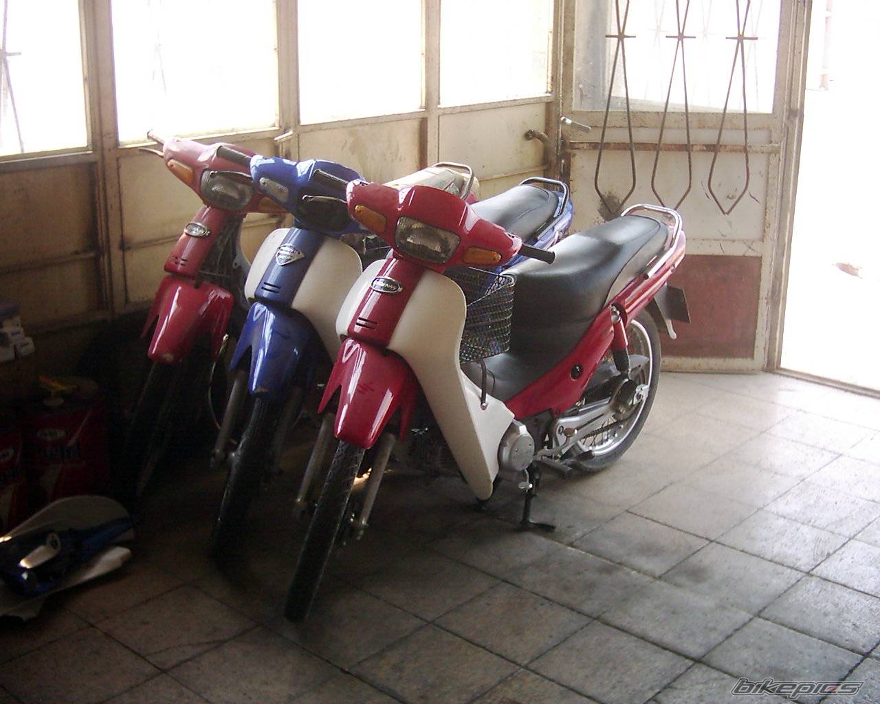 Photo 450498