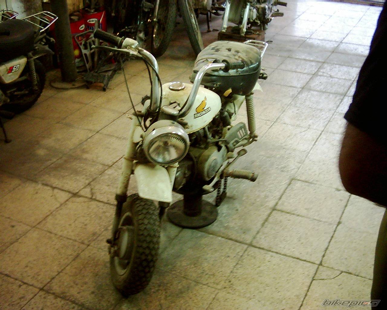 Photo 450519