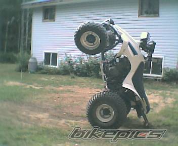 Photo 450534