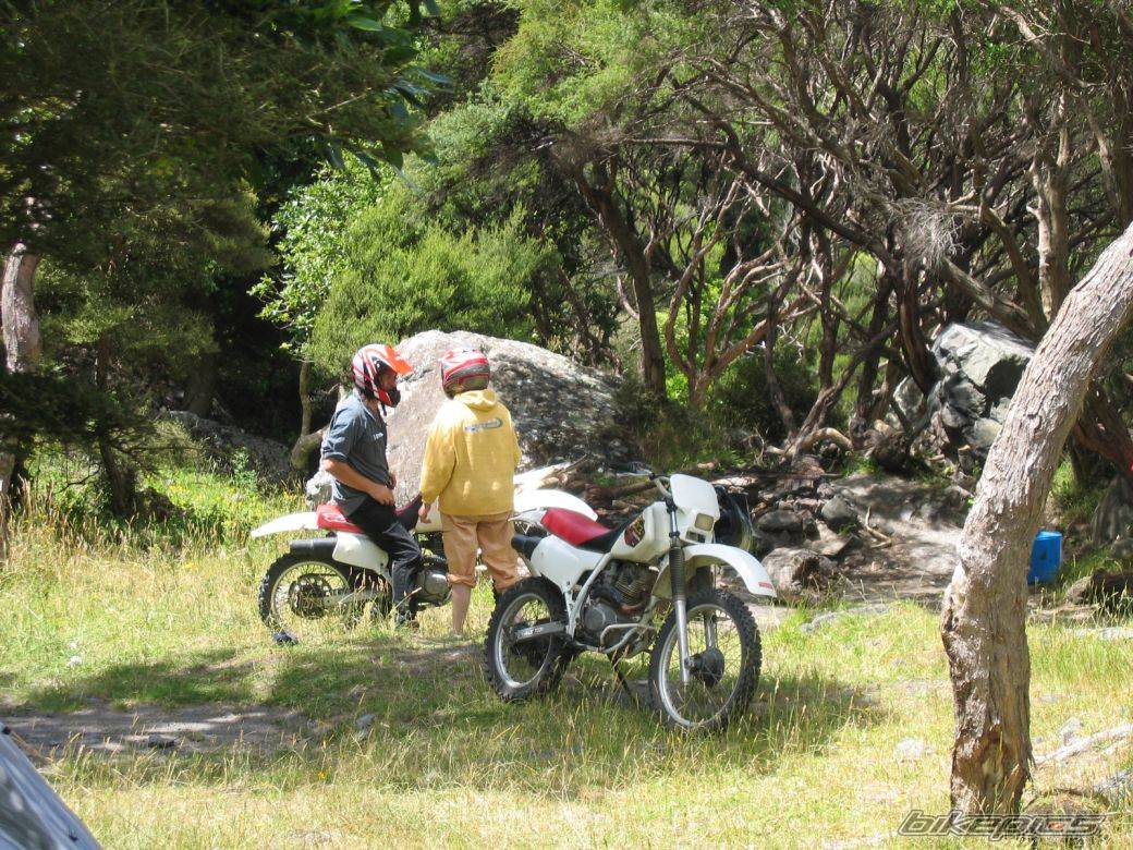 Bike Photo 450557
