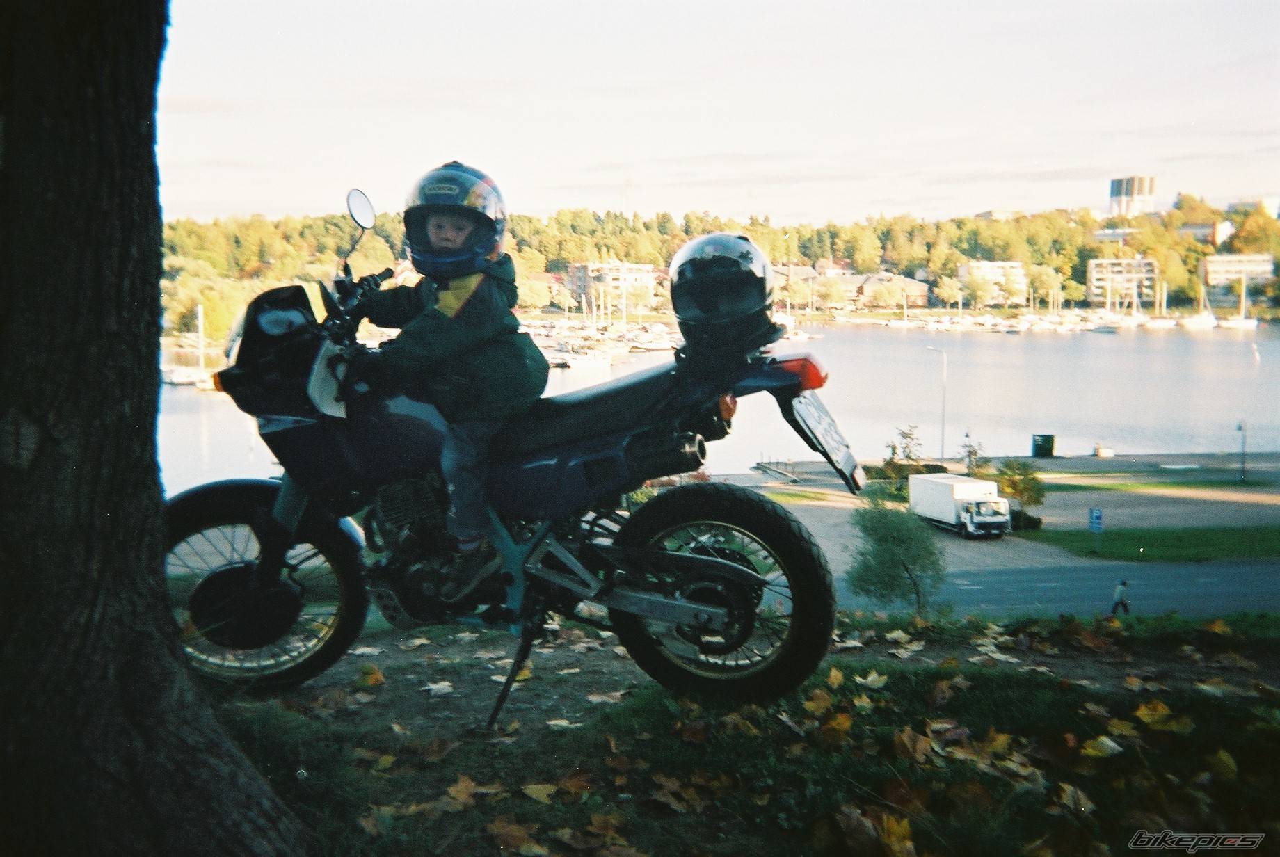 Photo 450571