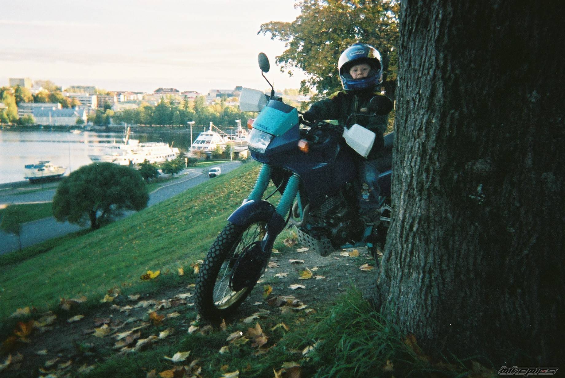 Photo 450572