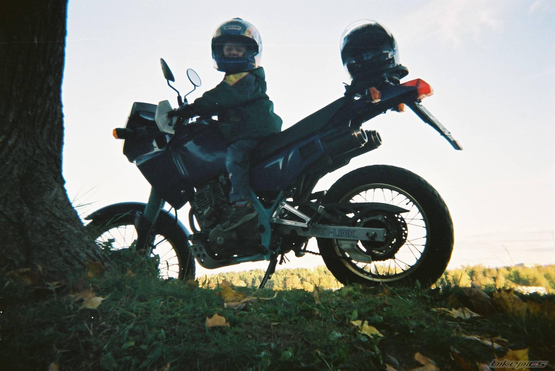 Photo 450574