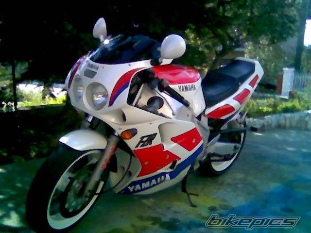 Photo 450587