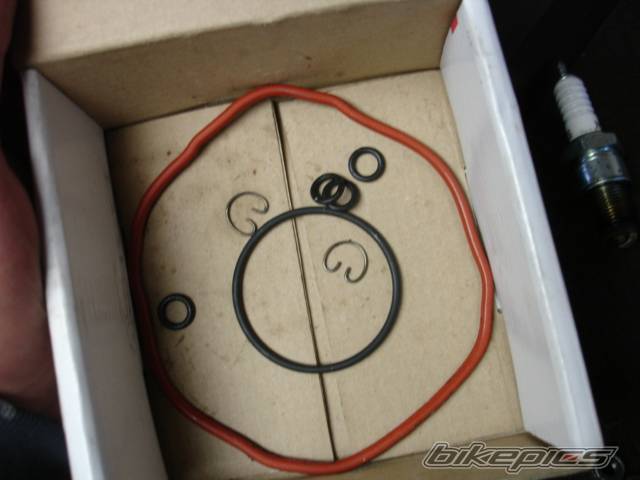 Photo 450765