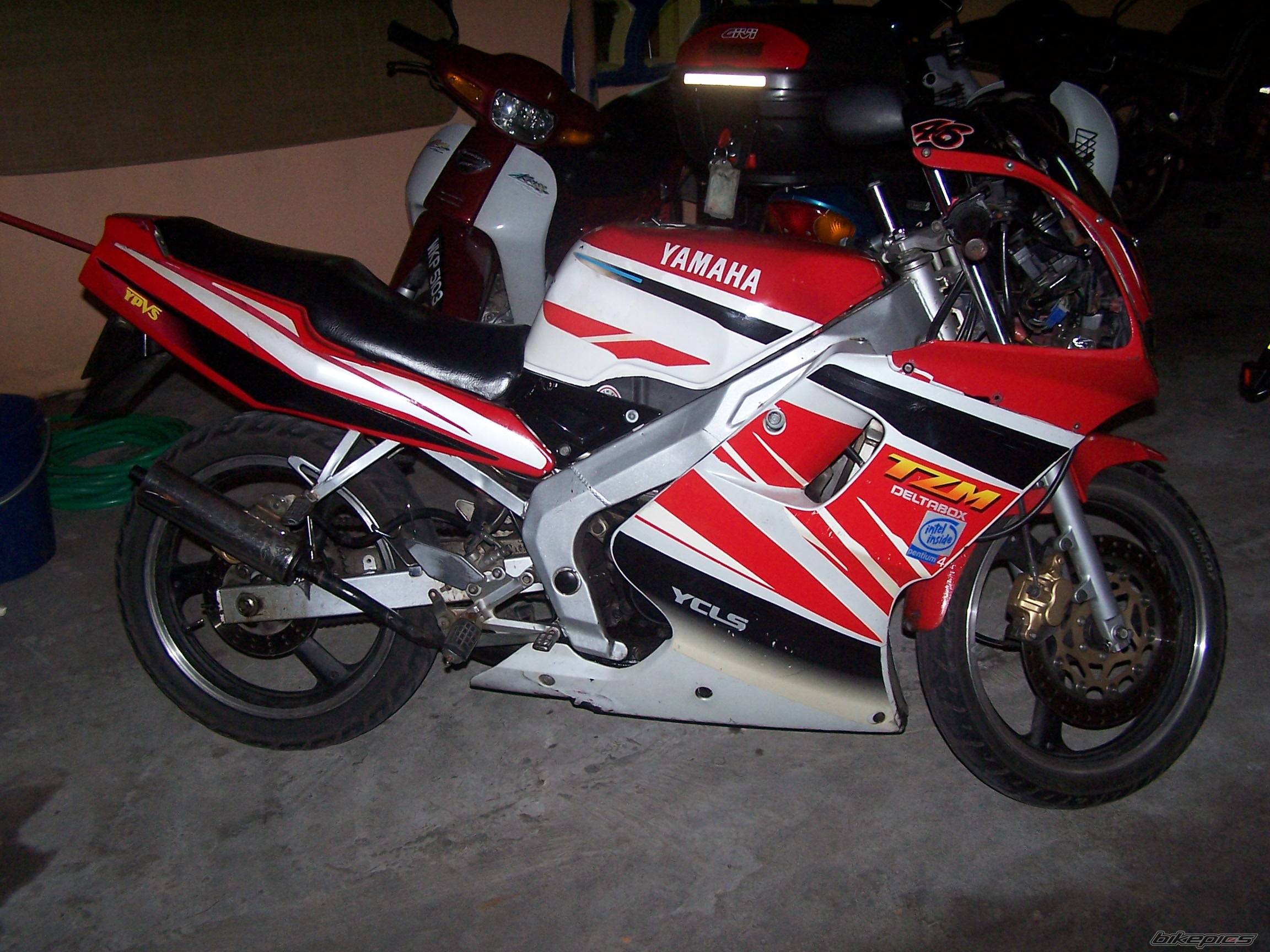 Photo 450768