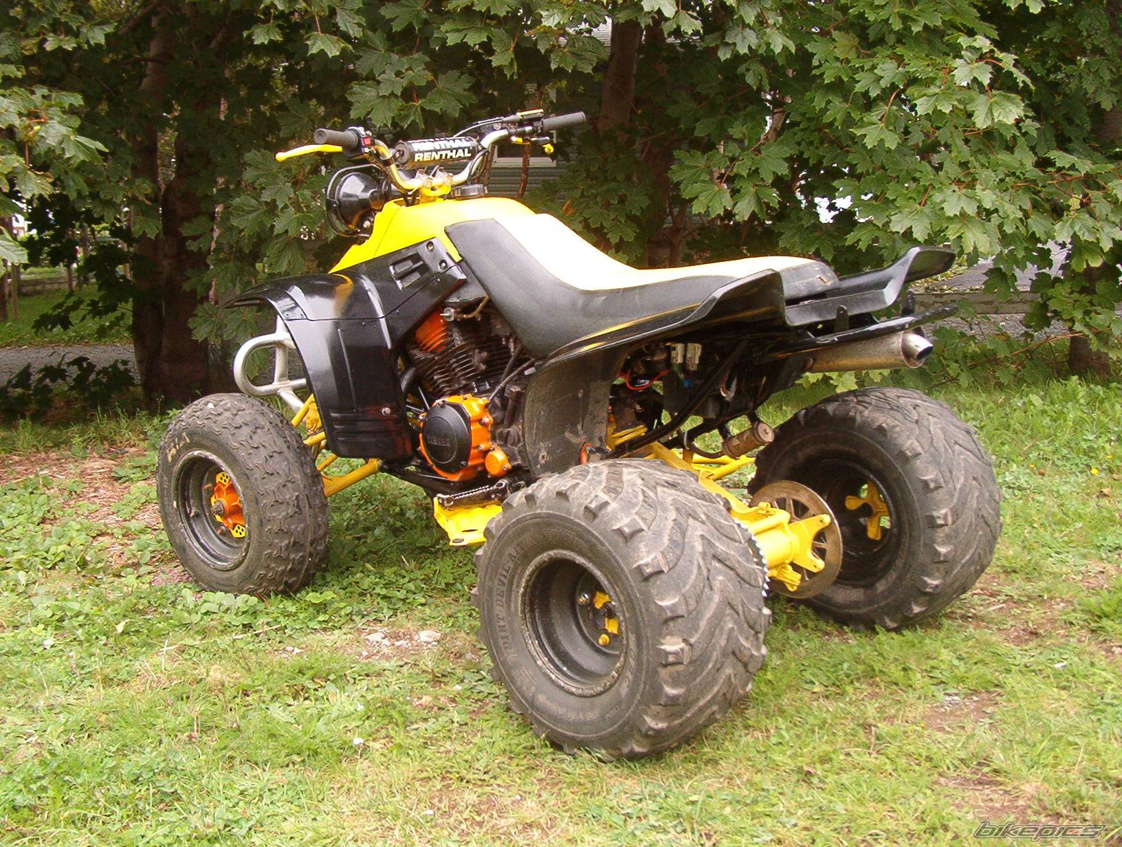 Photo 450823