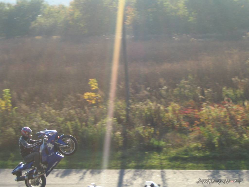Photo 450920