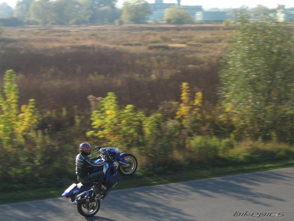 Photo 450921