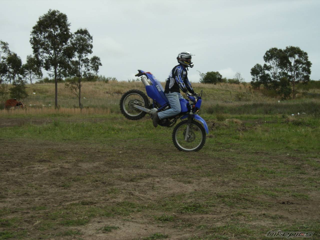 Photo 451038