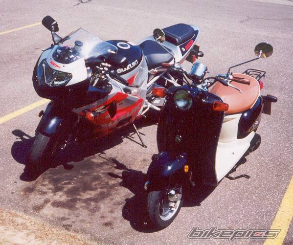 Photo 4511