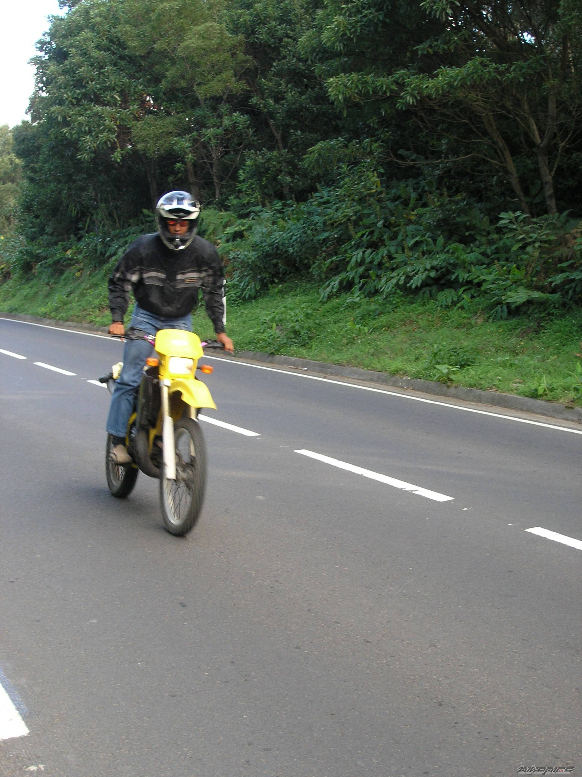 Photo 451133