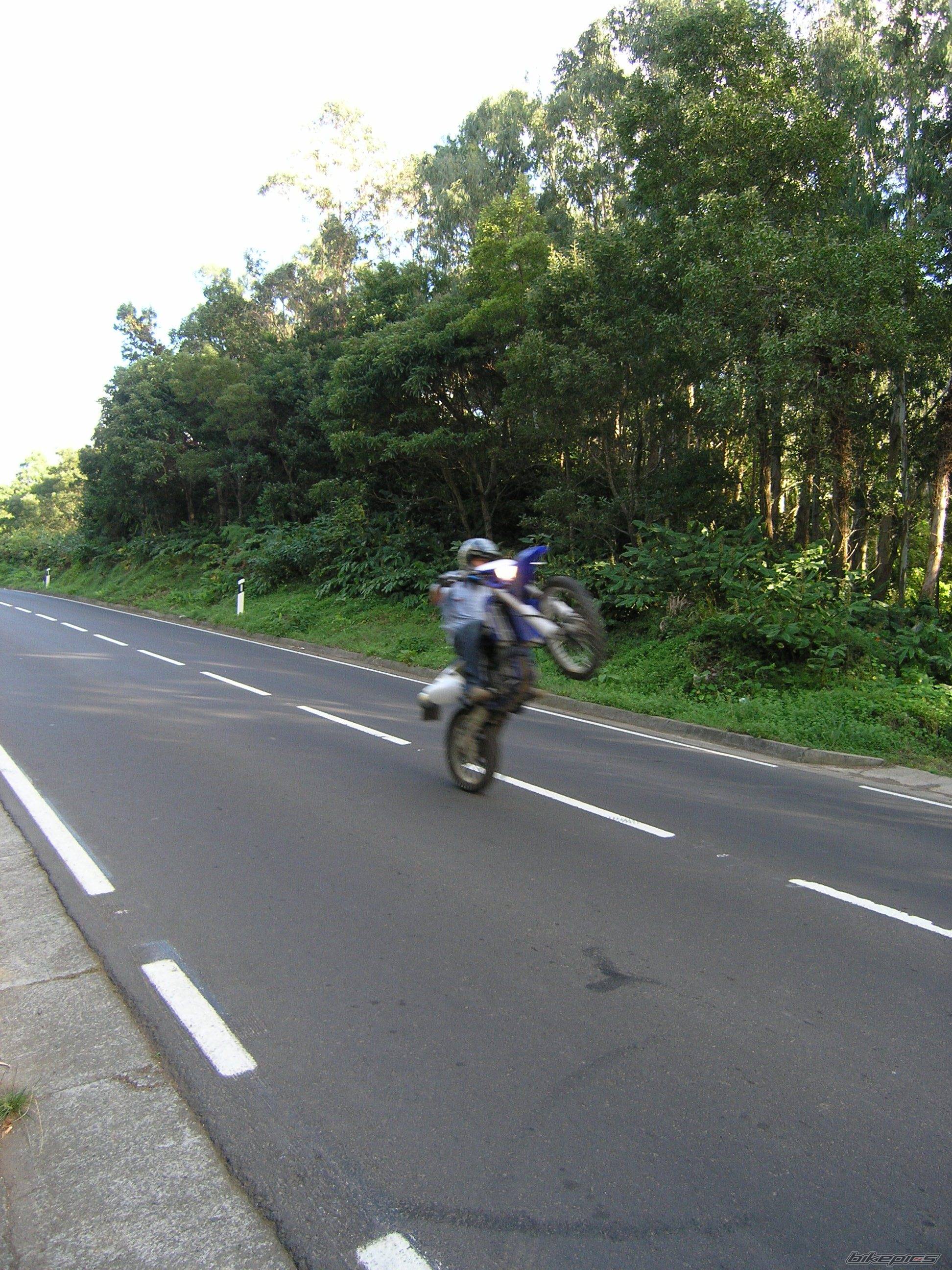 Photo 451135