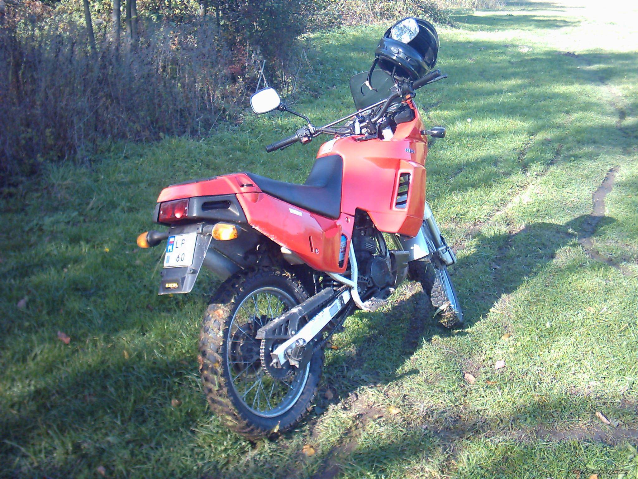 Photo 451183