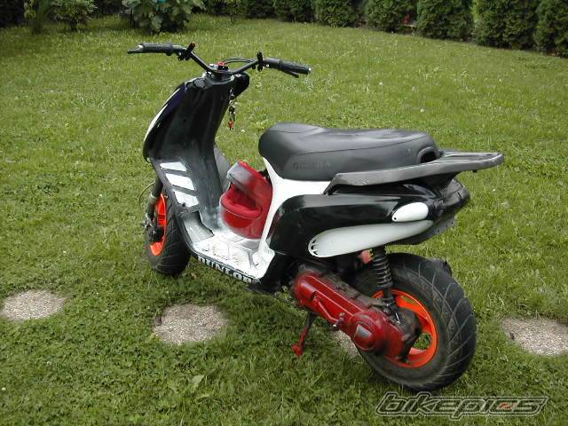 Photo 451205