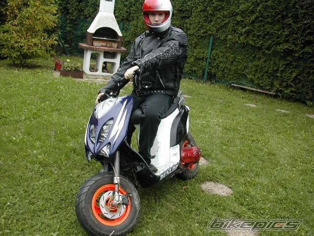 Photo 451209