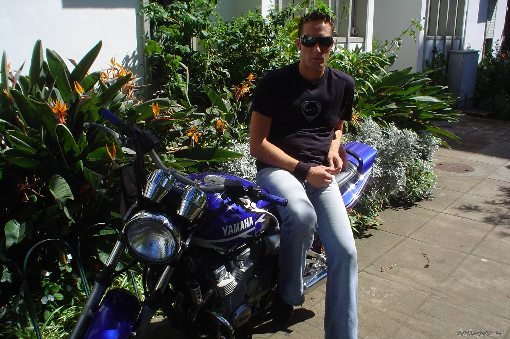 Bike Photo 451219