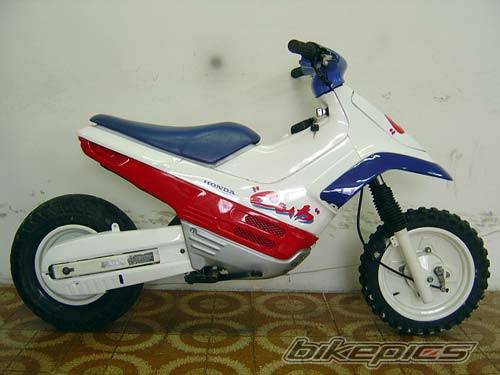Photo 451261