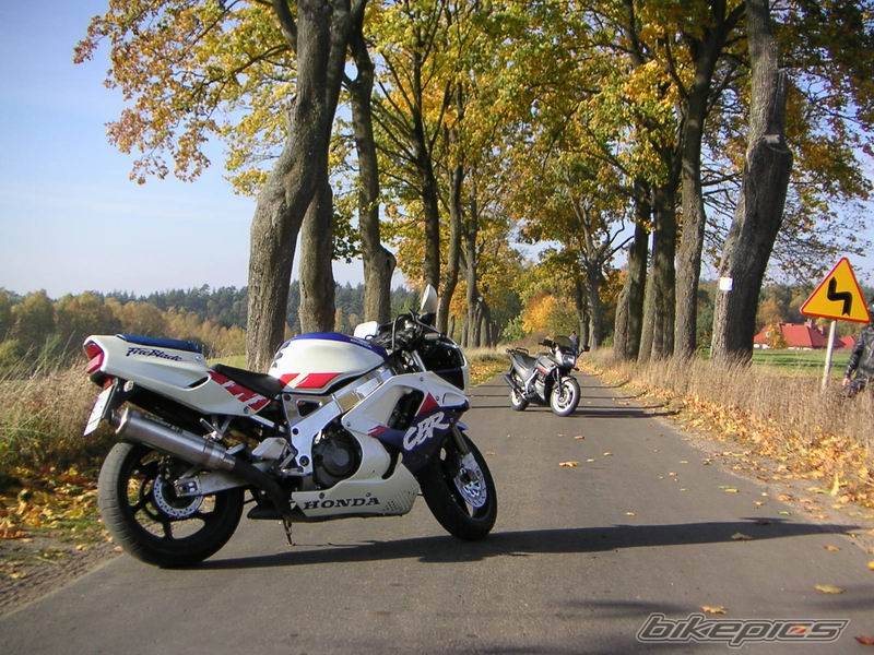 Bike Photo 451267