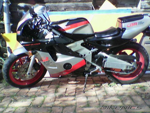 Photo 451366