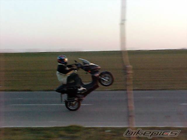 Photo 45137