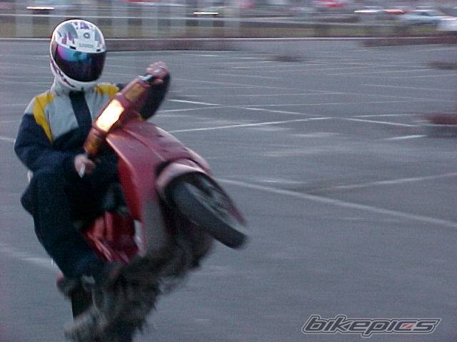 Photo 45142