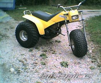 Photo 451474