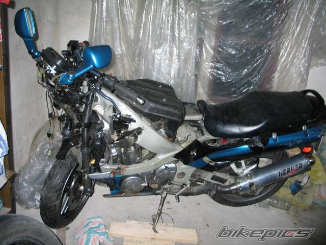 Bike Photo 451482