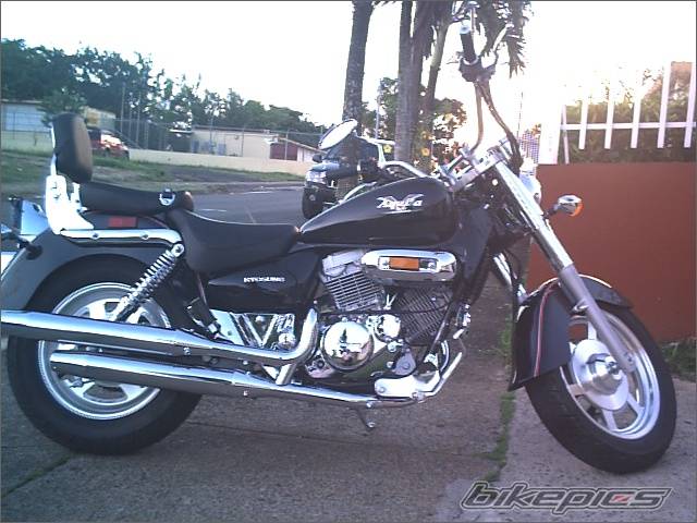 Photo 451518