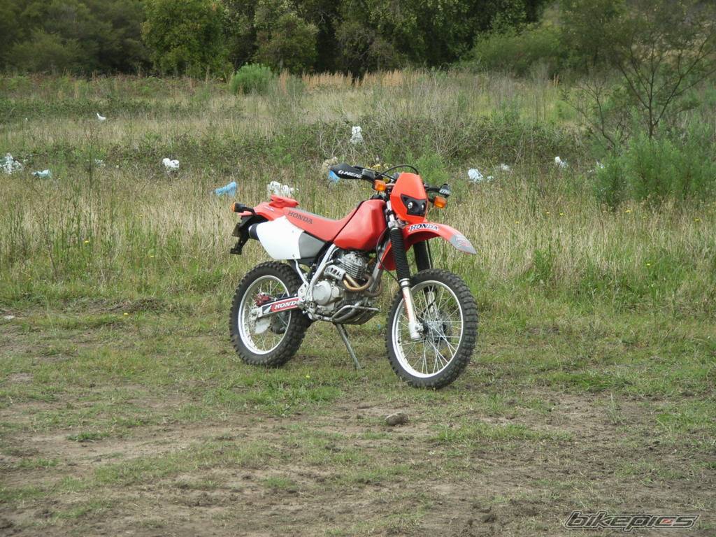Photo 451537