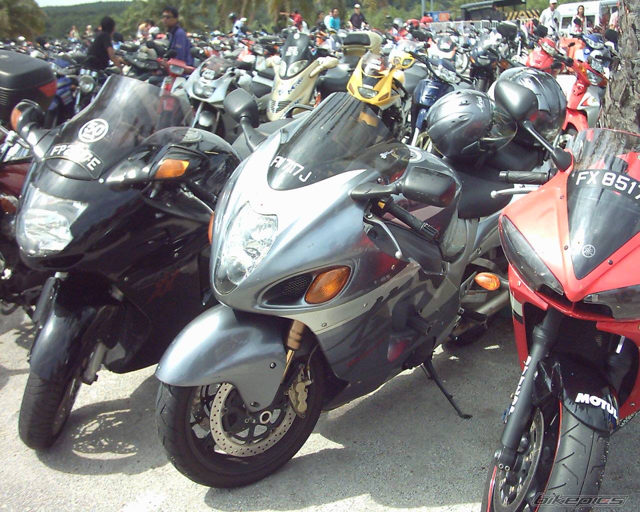 Bike Photo 451551