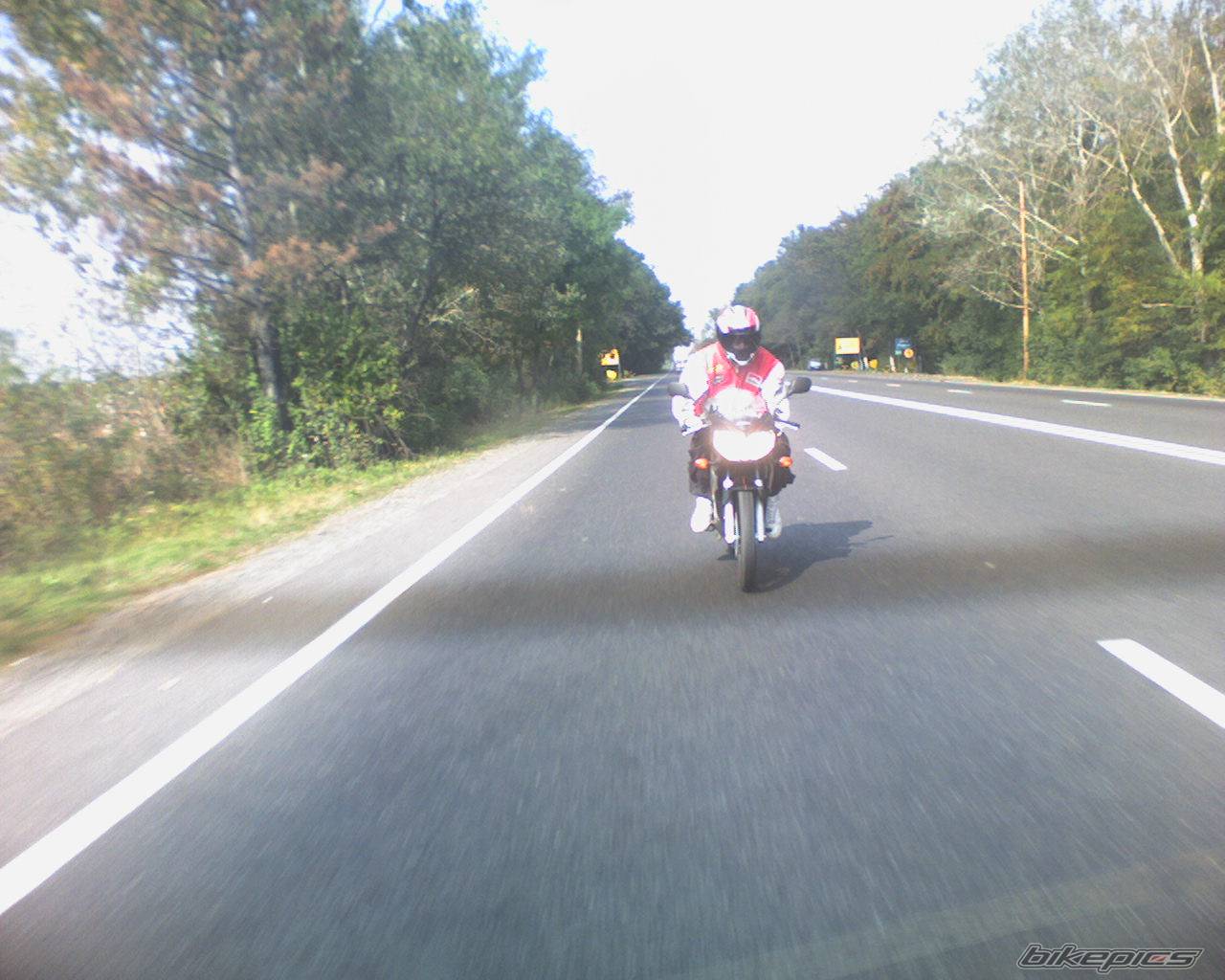 Bike Photo 451564