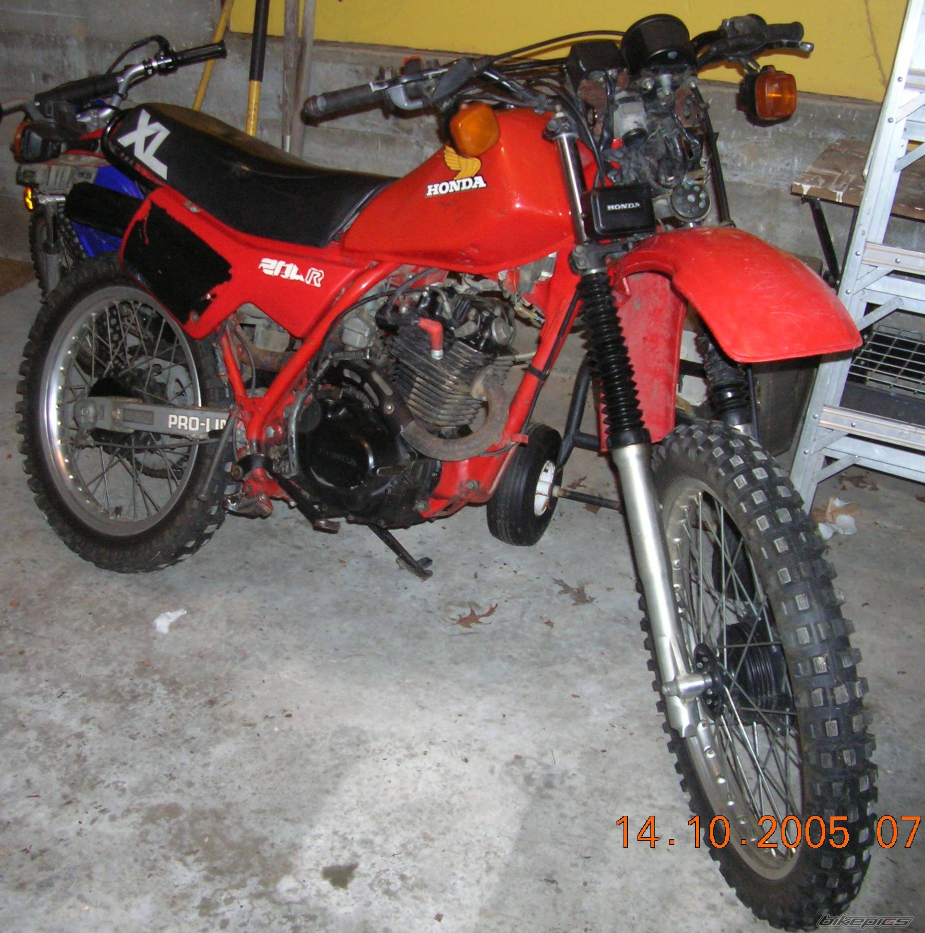 Bike Photo 451598