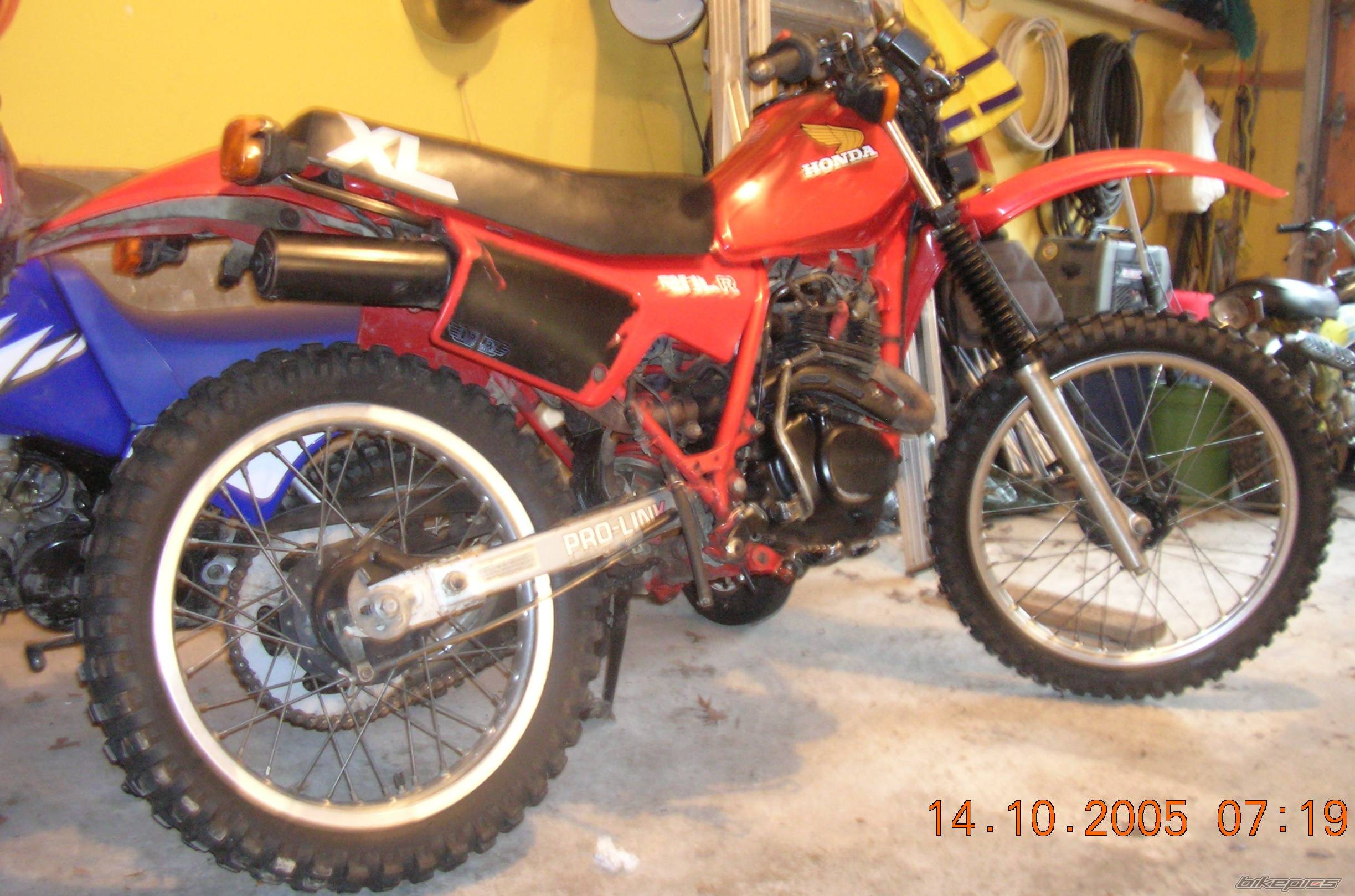 Bike Photo 451599