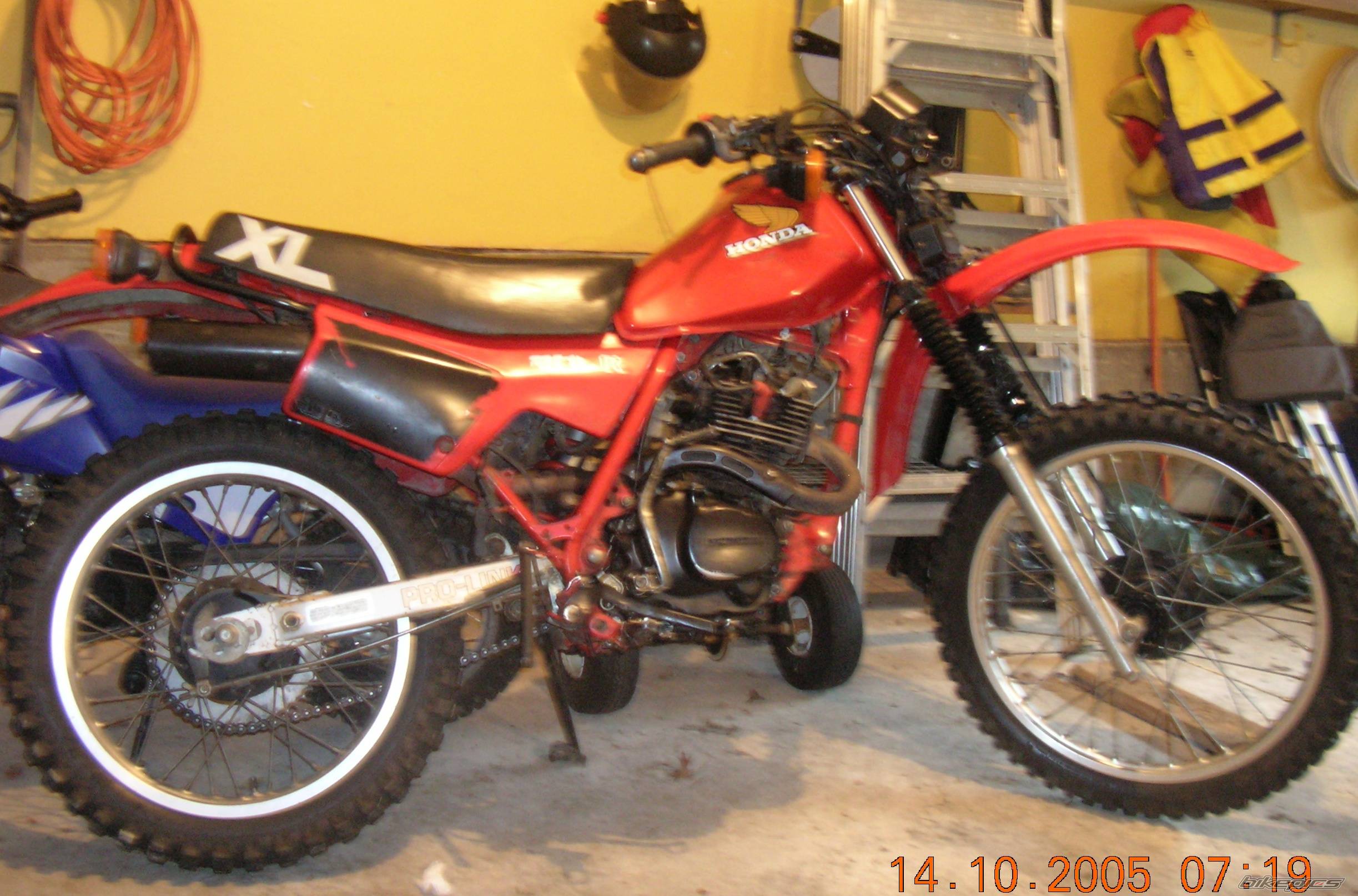 Bike Photo 451600