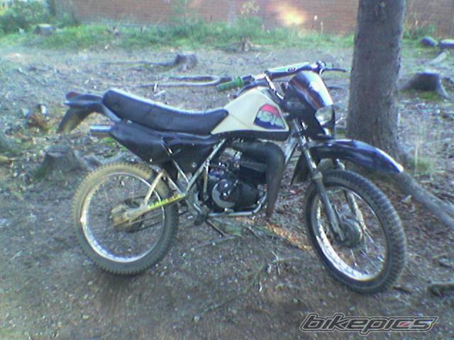 Photo 451684