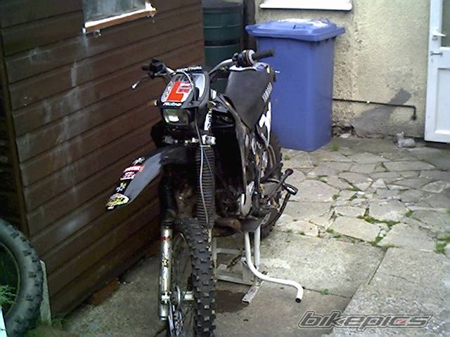 Photo 451694