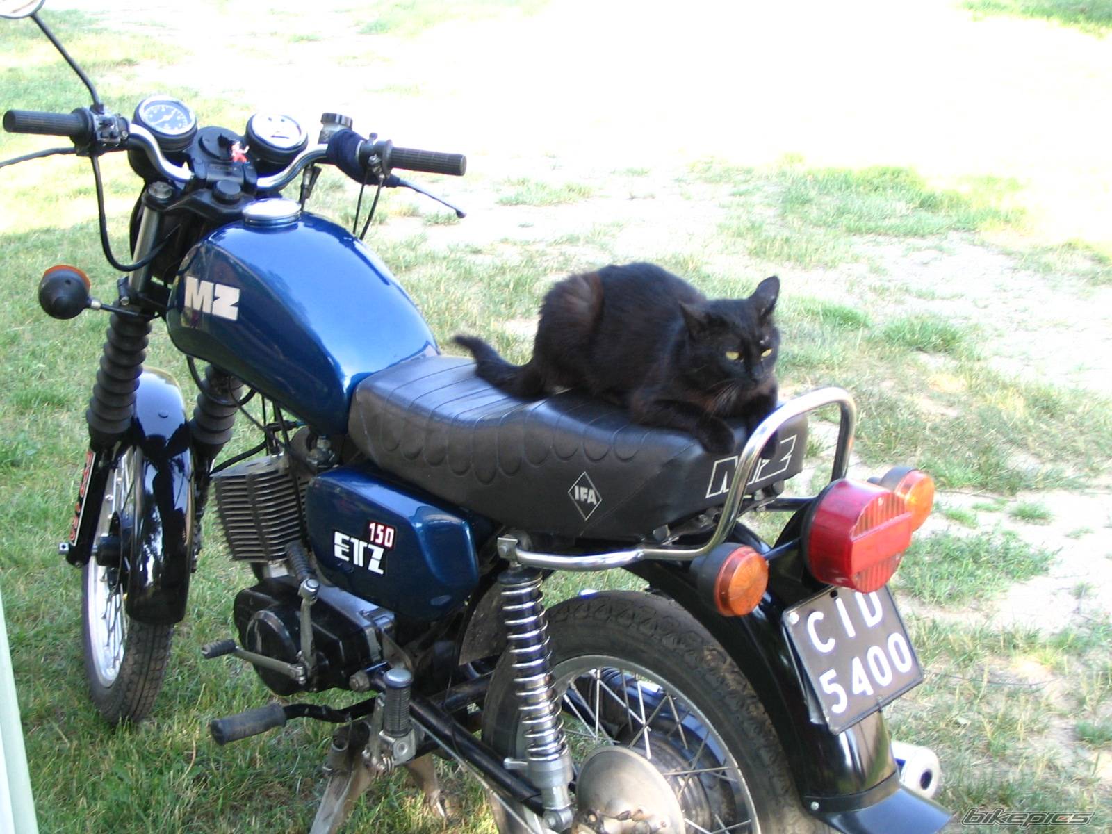 Photo 451749