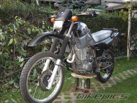 Photo 451761