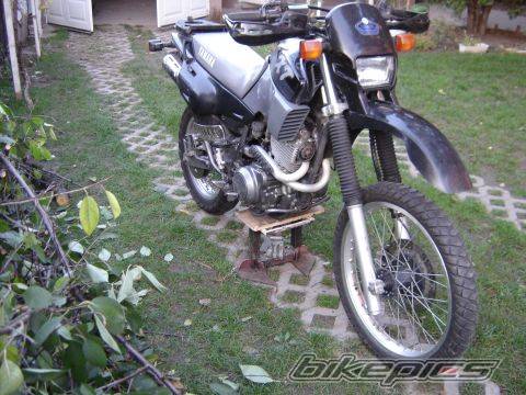 Photo 451764