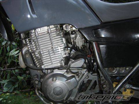 Photo 451765