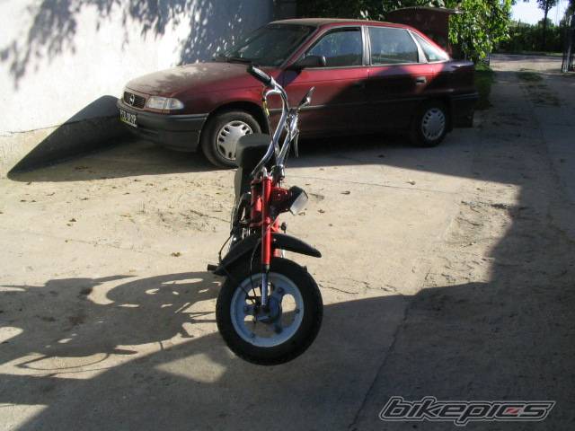 Photo 452024