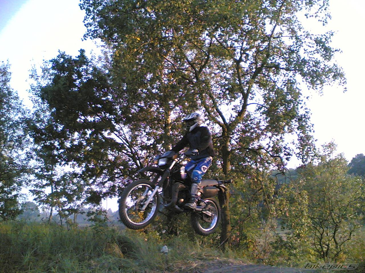Photo 452048