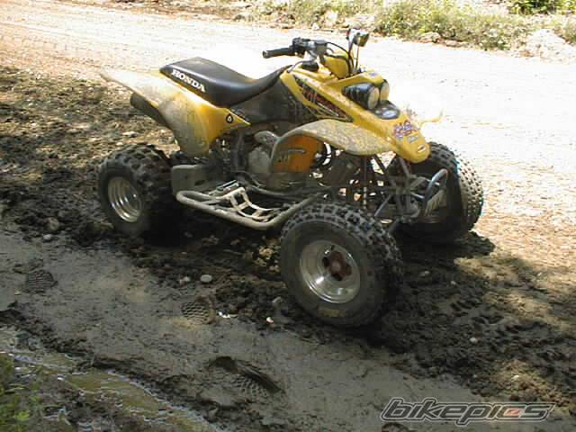Photo 452115