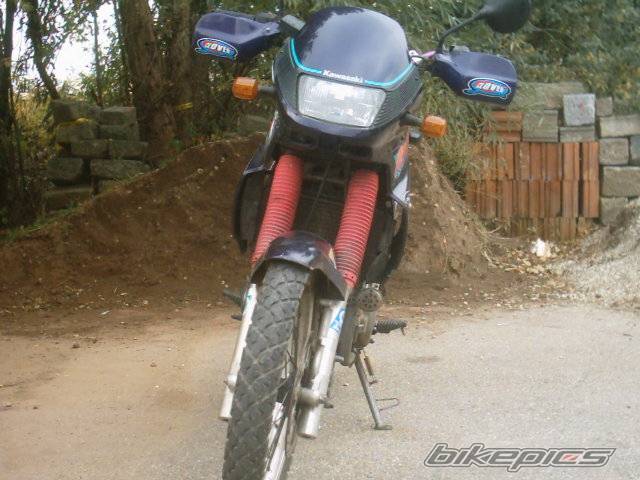 Photo 452188