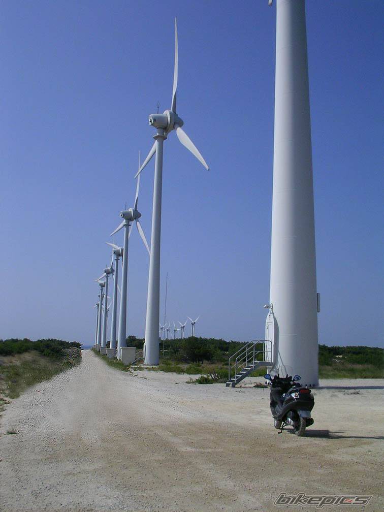 Bike Photo 452230
