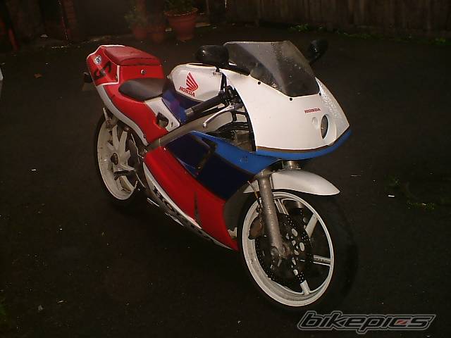 Photo 452268